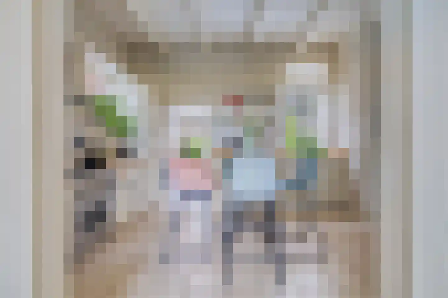 Kerkstraat 57 Lage Zwaluwe thumbnail 18