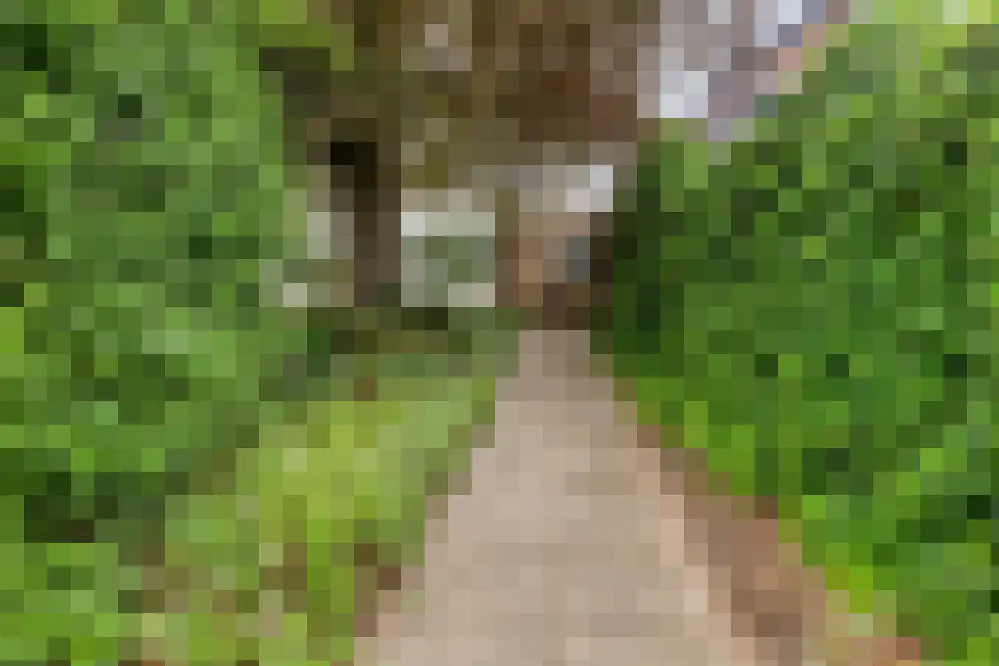 Kerkstraat 57 Lage Zwaluwe thumbnail 38