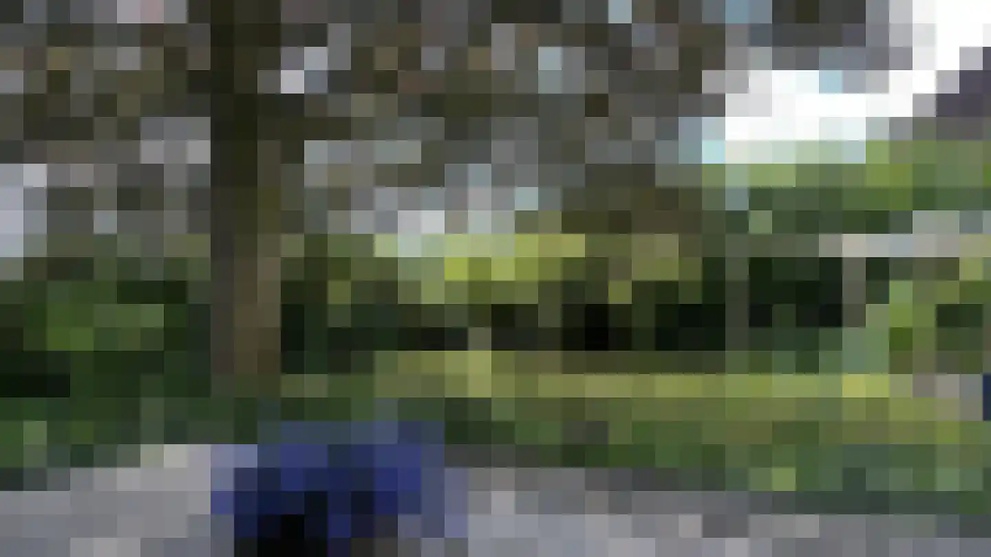 Kerkstraat 57 Lage Zwaluwe thumbnail 41