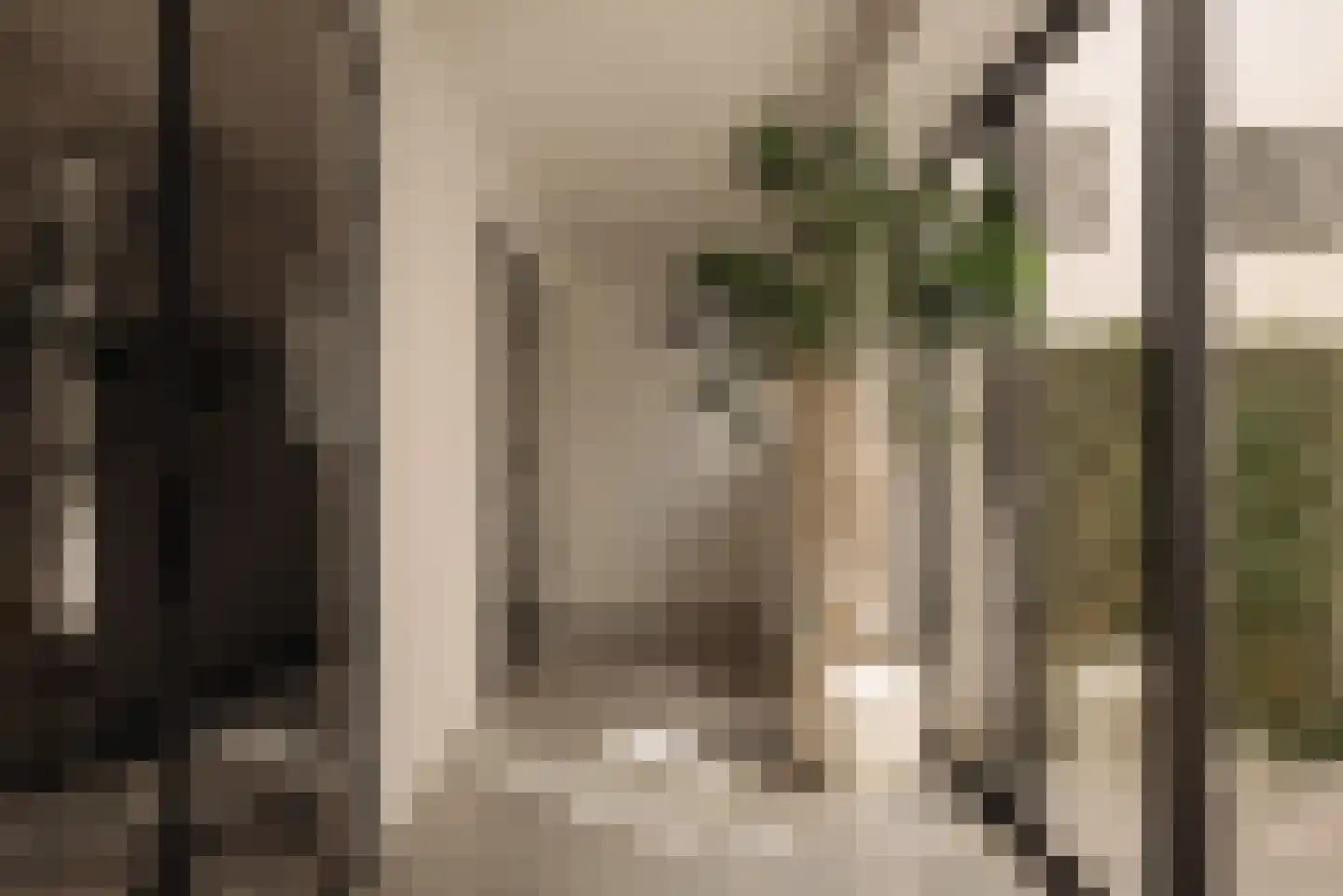 Kerkstraat 58 Amsterdam thumbnail 25