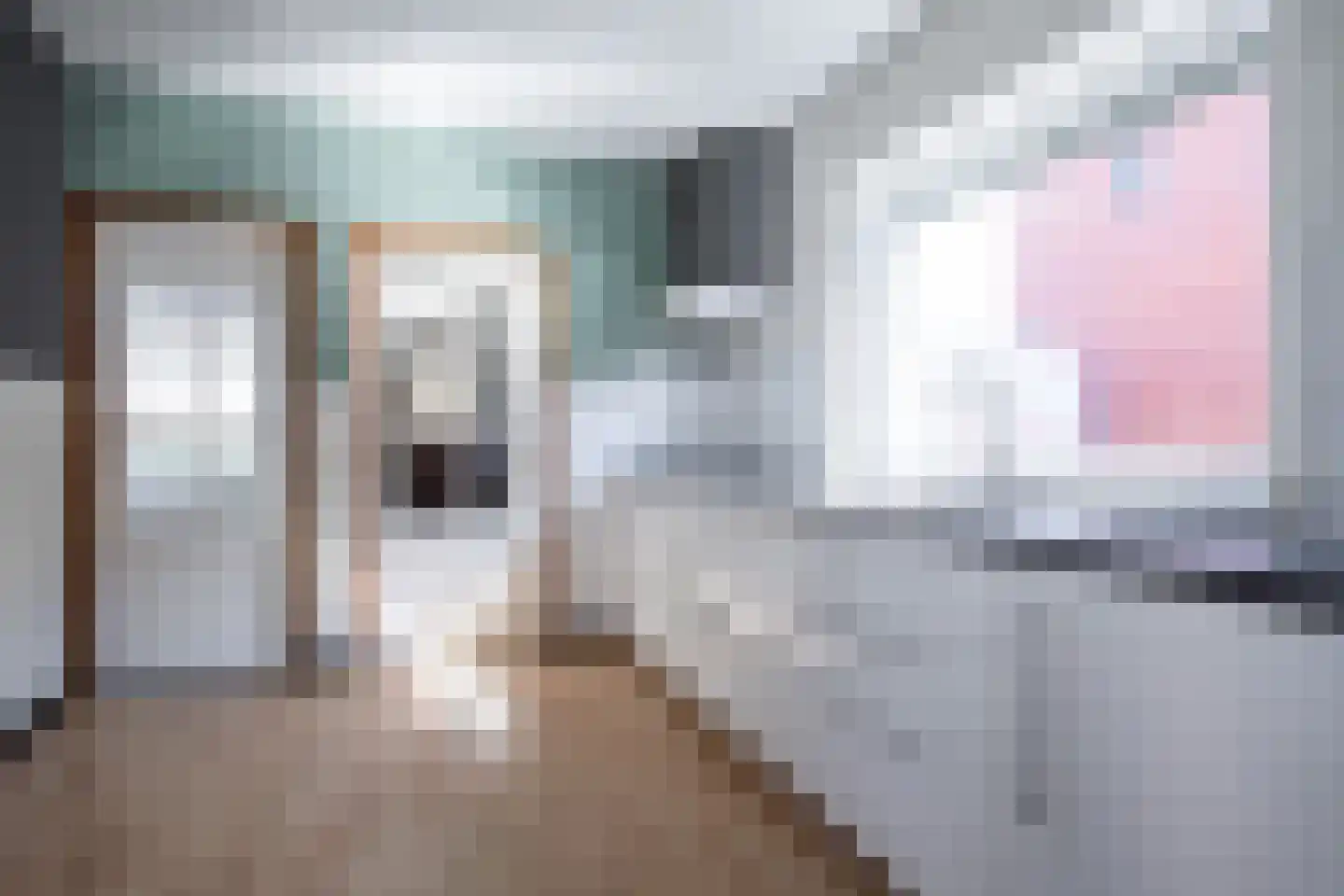 Kerkstraat 58 Koningsbosch thumbnail 6