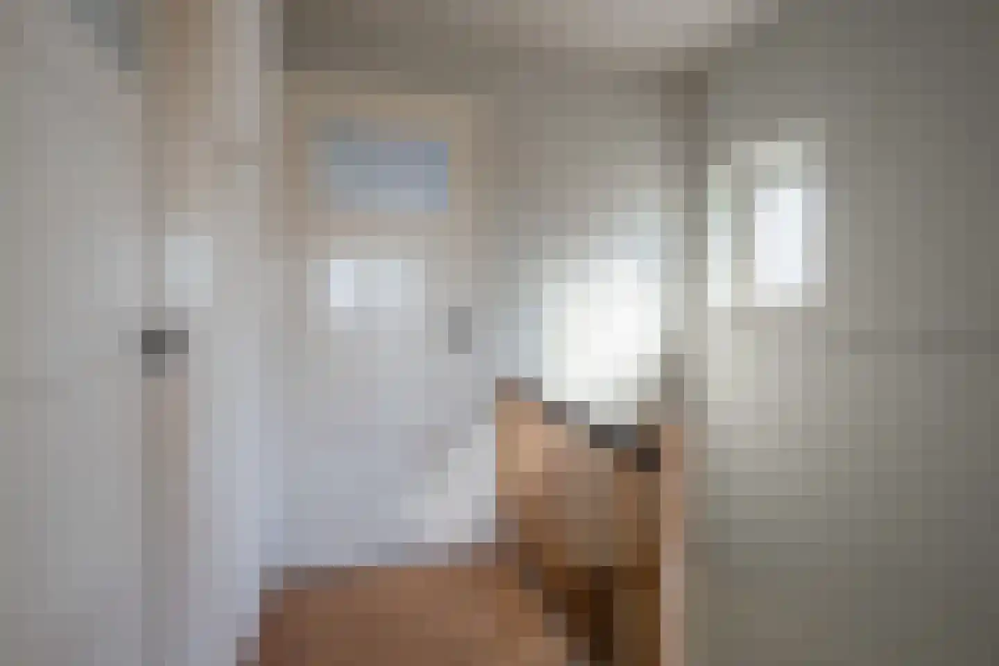 Kerkstraat 58 Koningsbosch thumbnail 8