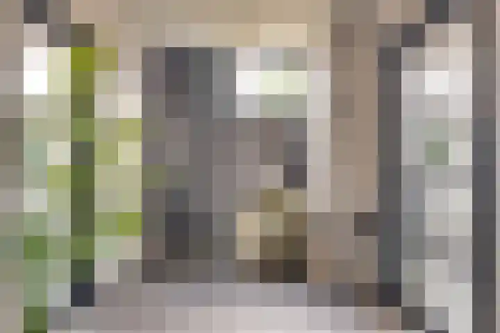 Kerkstraat 58 Mierlo thumbnail 13