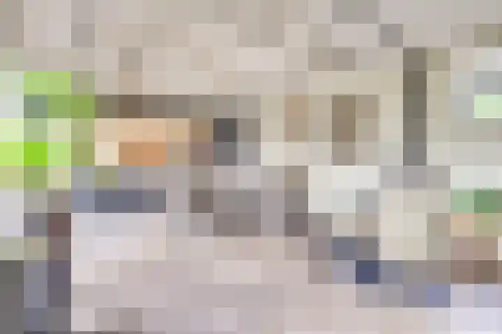 Kerkstraat 58 Mierlo thumbnail 23