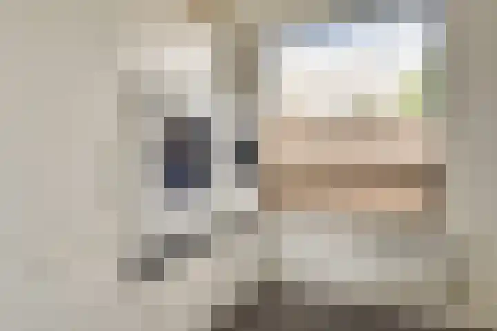 Kerkstraat 58 Mierlo thumbnail 32