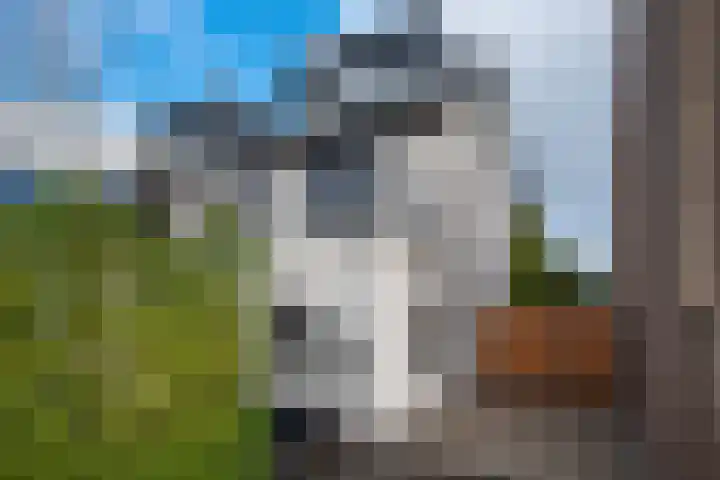 Kerkstraat 58 Mierlo thumbnail 49