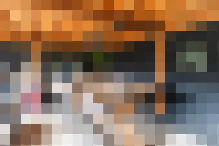 Kerkstraat 58 Mierlo thumbnail 52