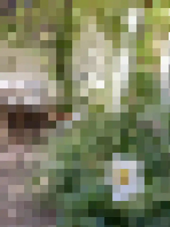 Kerkstraat 58 Utrecht thumbnail 33
