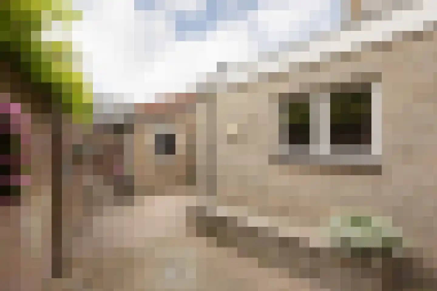 Kerkstraat 59 Bolsward thumbnail 30