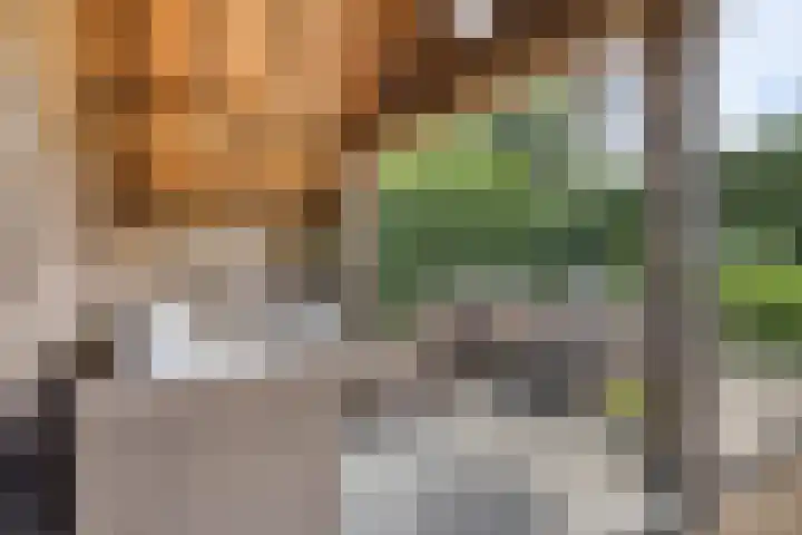Kerkstraat 59 Oud Gastel thumbnail 31