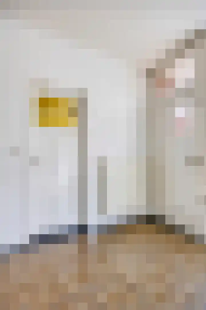 Kerkstraat 59 Oud Gastel thumbnail 9