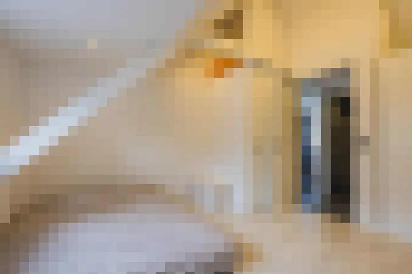 Kerkstraat 6 A Assen thumbnail 17