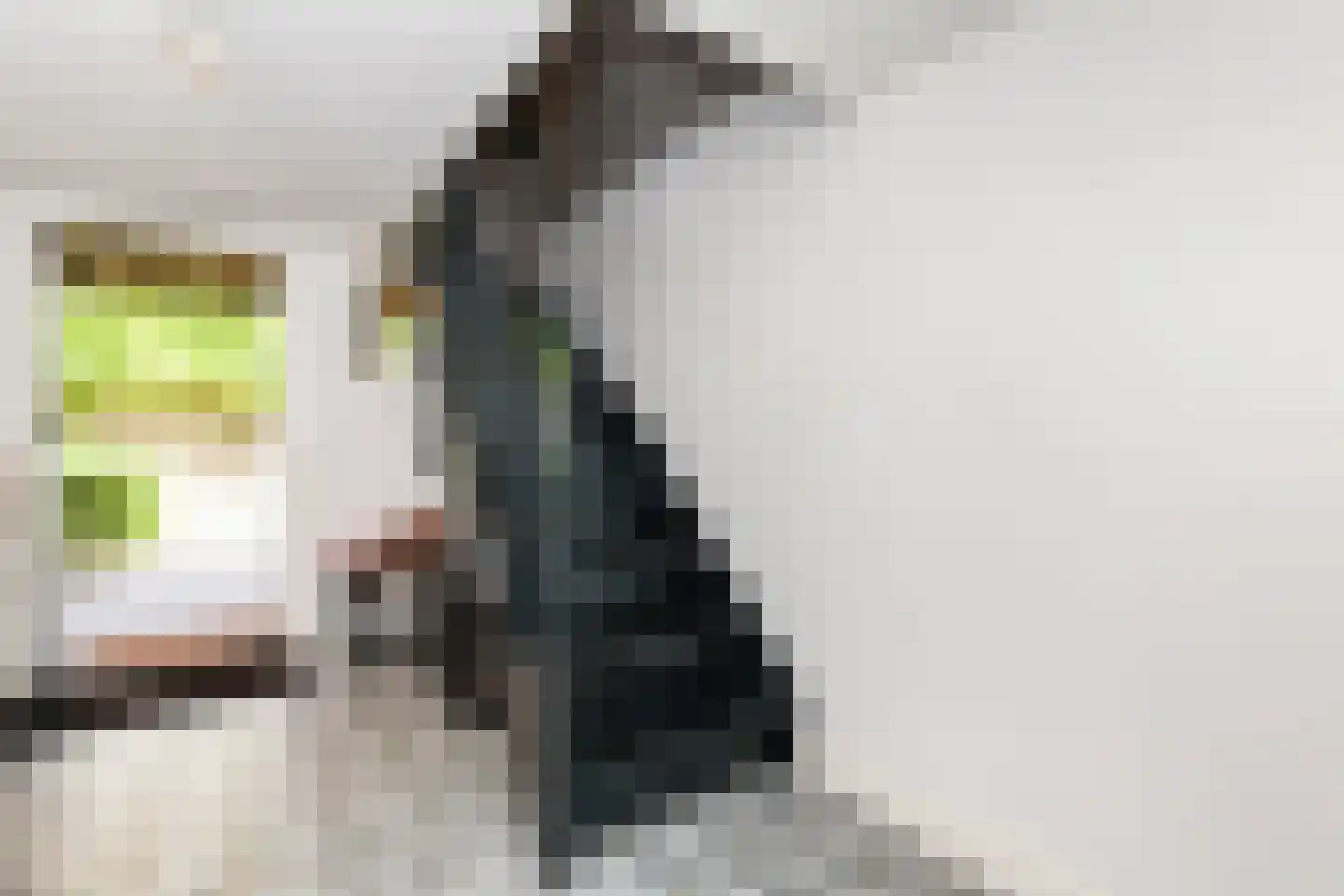 Kerkstraat 6 Alblasserdam thumbnail 13