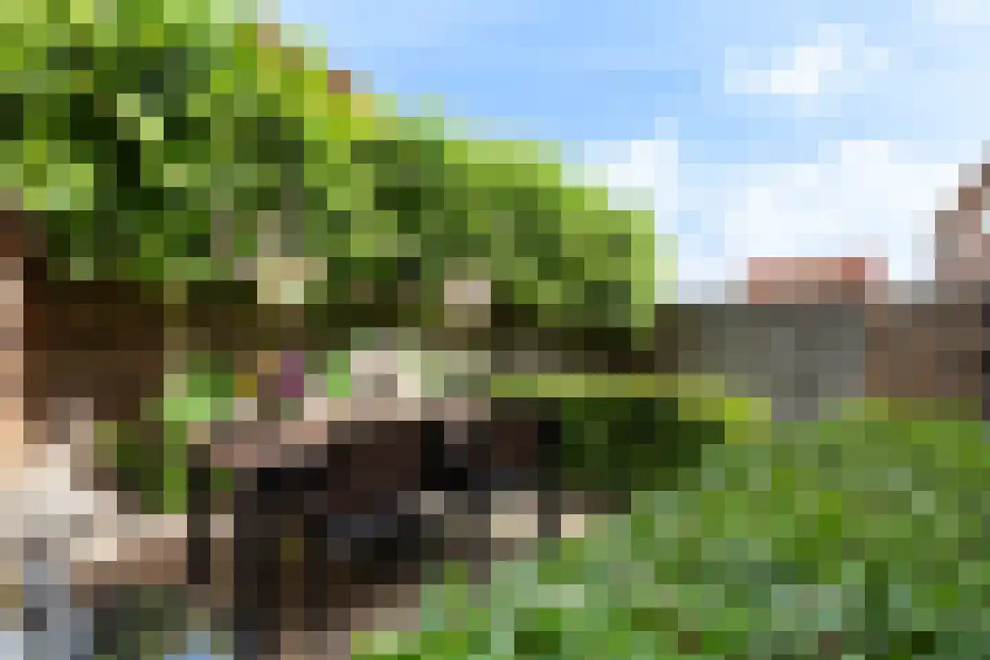 Kerkstraat 6 Alblasserdam thumbnail 31