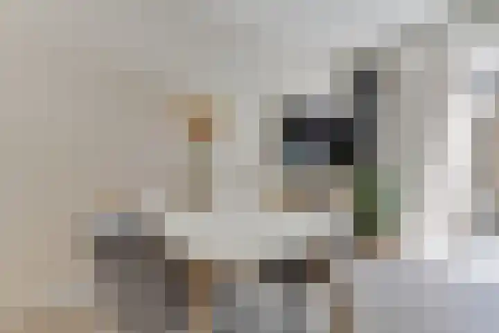 Kerkstraat 6 Alkmaar thumbnail 13