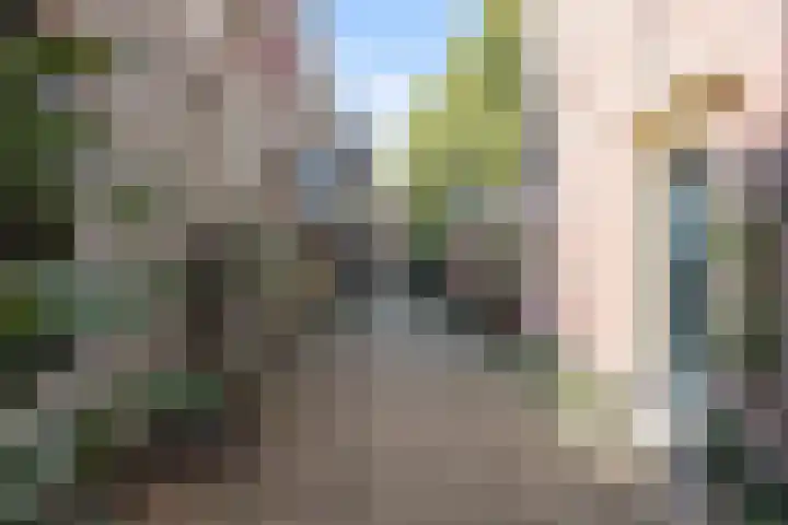 Kerkstraat 6 Alkmaar thumbnail 31