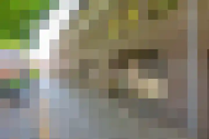 Kerkstraat 6 Alkmaar thumbnail 4