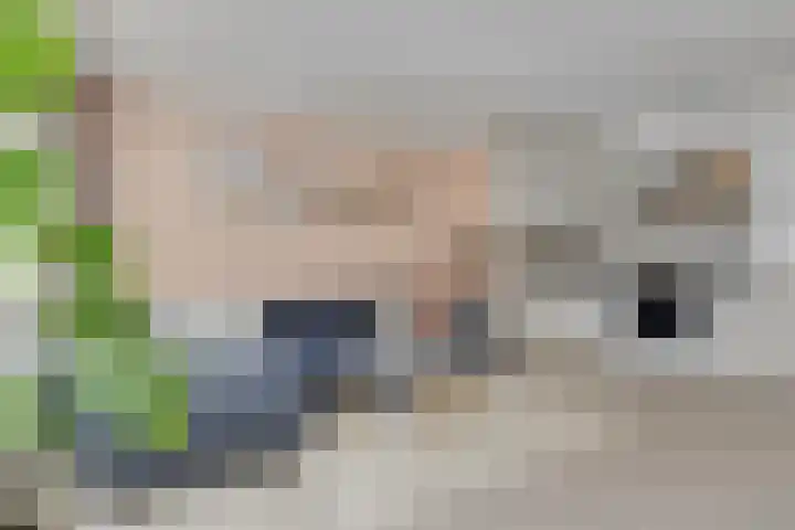 Kerkstraat 6 Alkmaar thumbnail 9