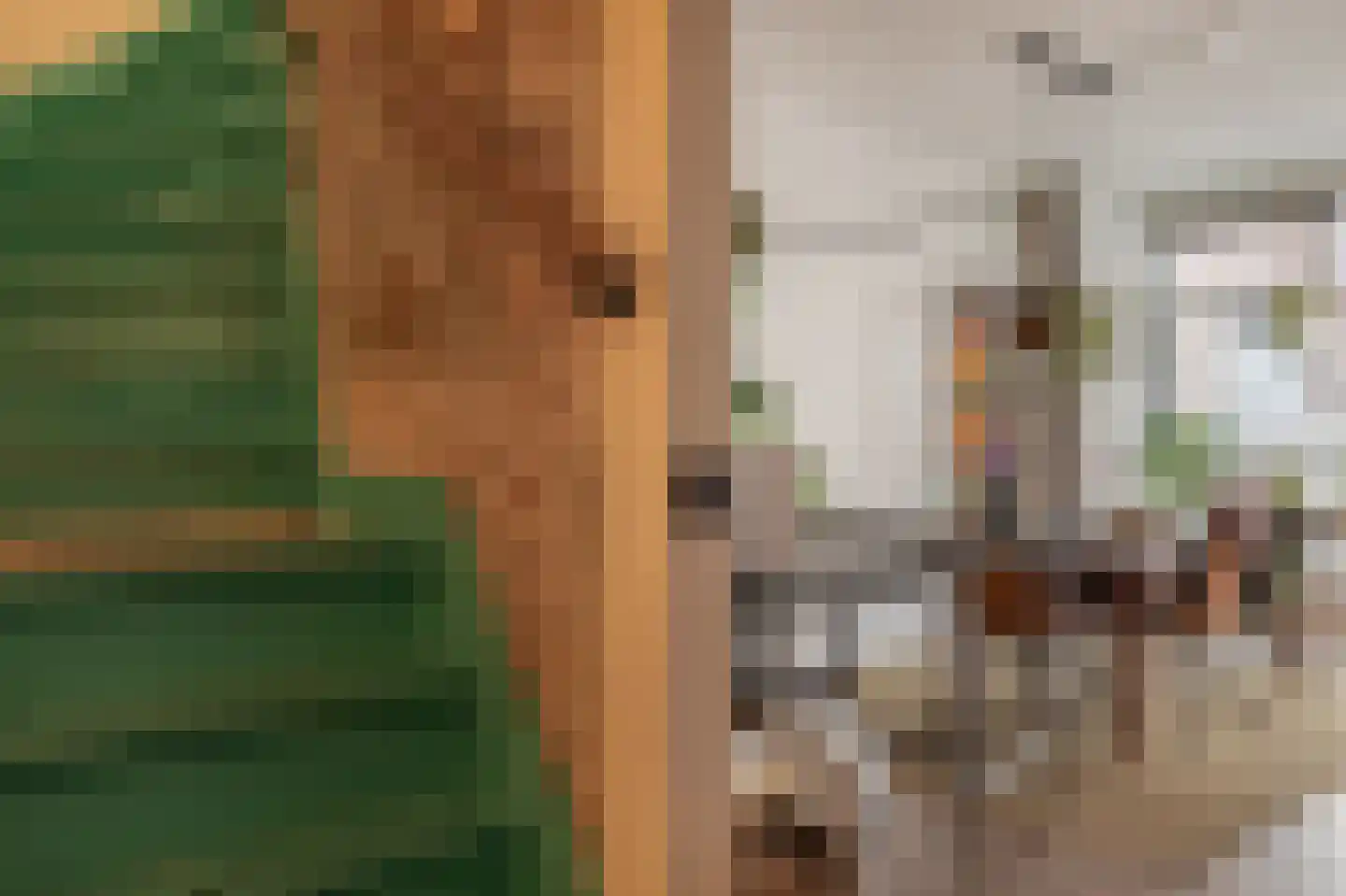 Kerkstraat 6 Assen thumbnail 17