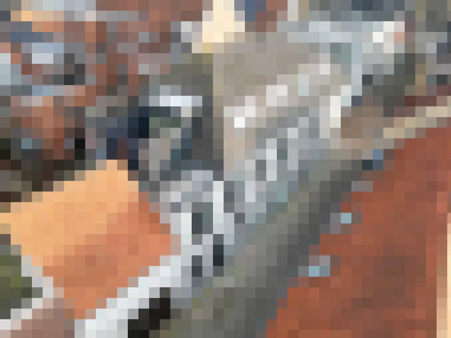 Kerkstraat 6 b Axel thumbnail 13