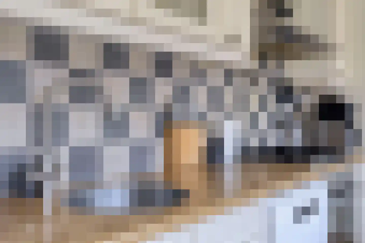 Kerkstraat 6 Beek en Donk thumbnail 18