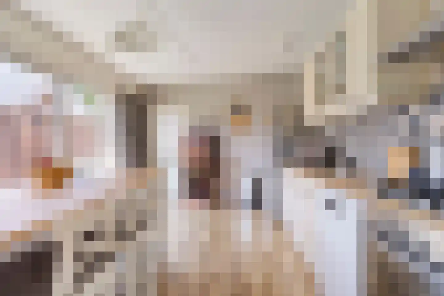 Kerkstraat 6 Beek en Donk thumbnail 19
