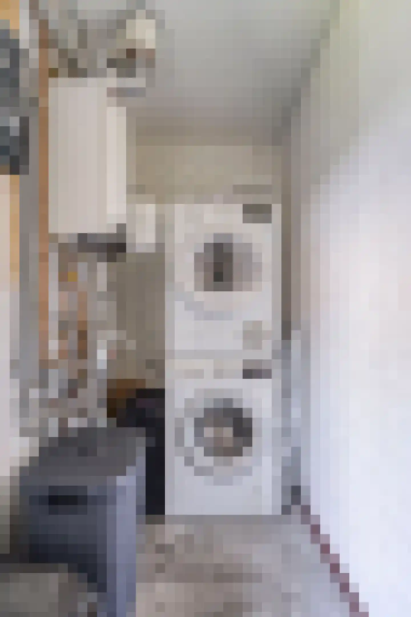 Kerkstraat 6 Beek en Donk thumbnail 25