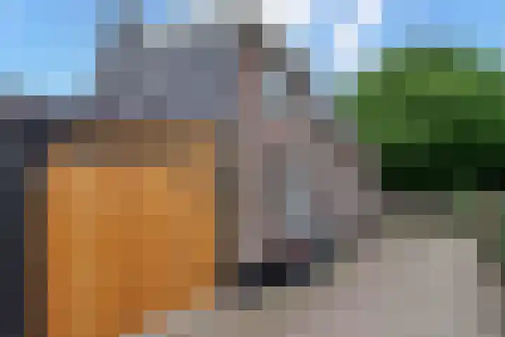 Kerkstraat 6 Bunschoten-Spakenburg thumbnail 28