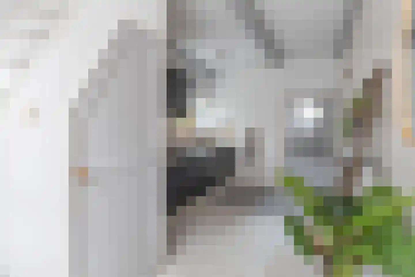 Kerkstraat 6 De Rijp thumbnail 10