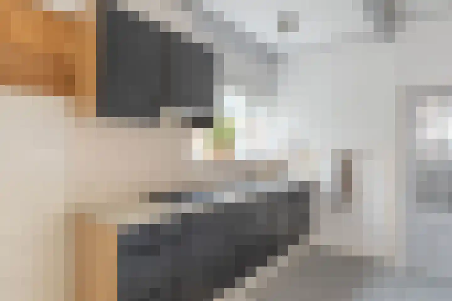 Kerkstraat 6 De Rijp thumbnail 11
