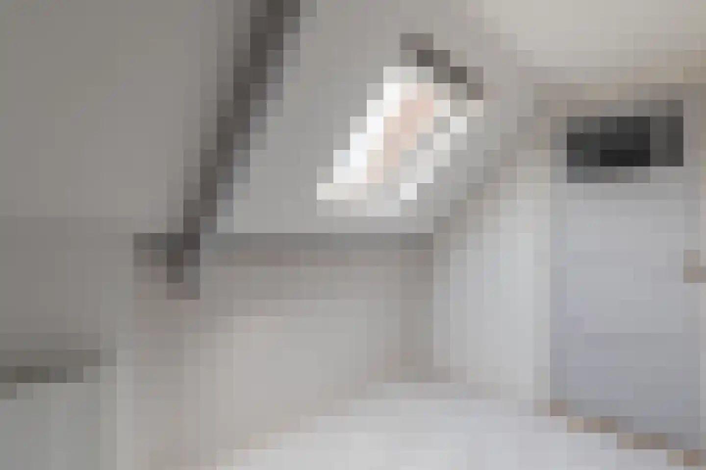 Kerkstraat 6 De Rijp thumbnail 18
