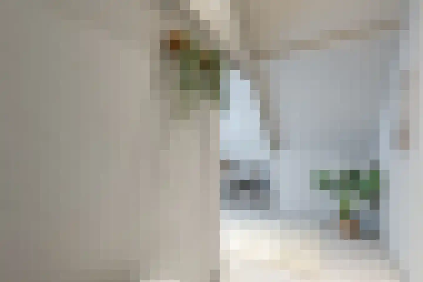 Kerkstraat 6 De Rijp thumbnail 23