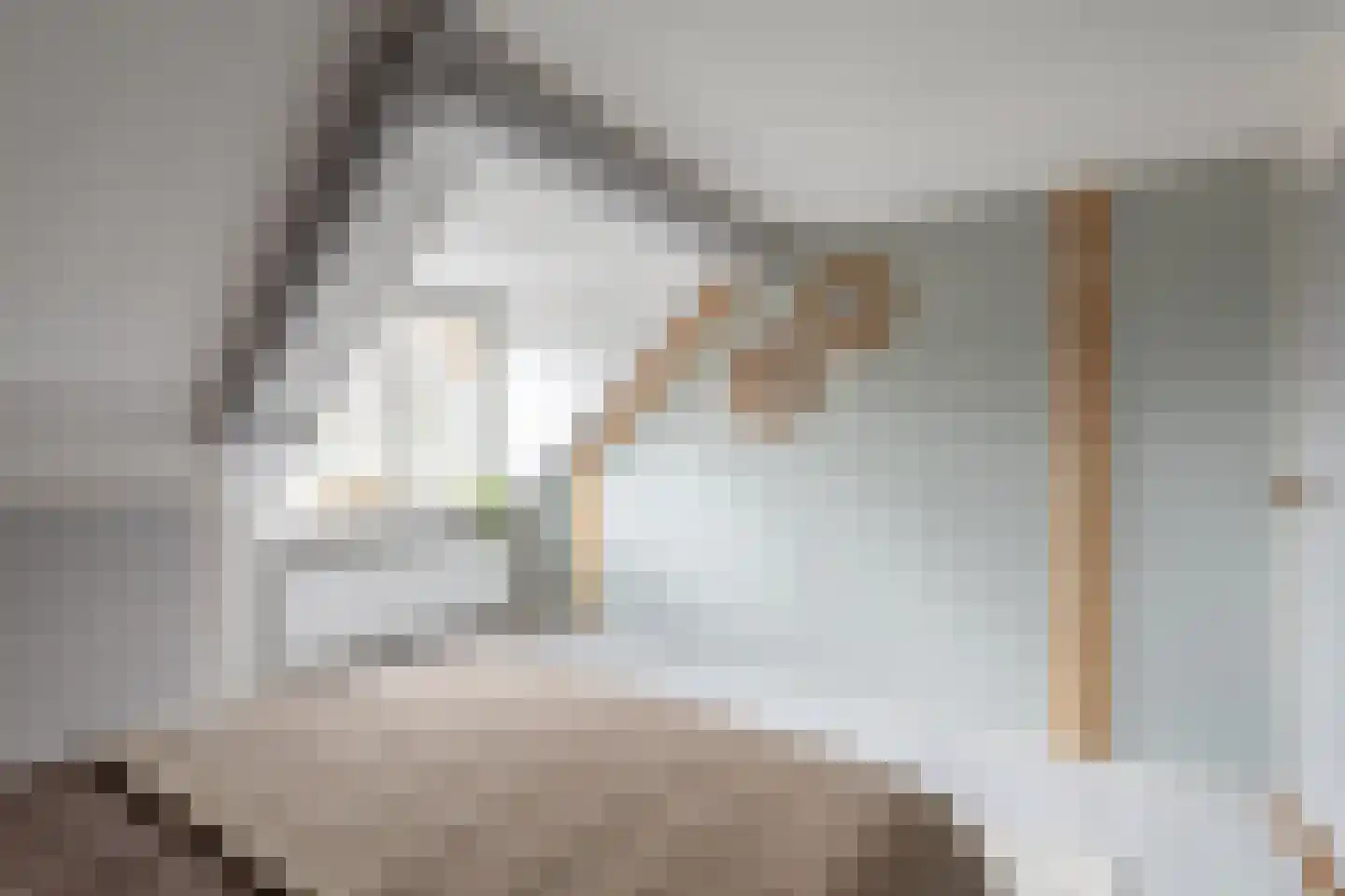 Kerkstraat 6 De Rijp thumbnail 30