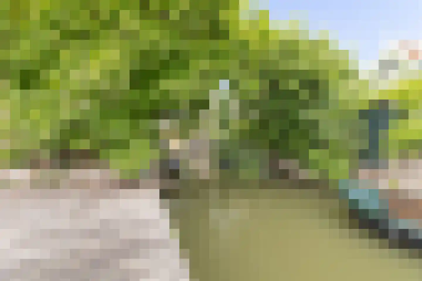Kerkstraat 6 De Rijp thumbnail 40
