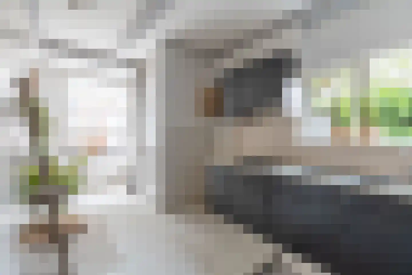 Kerkstraat 6 De Rijp thumbnail 9
