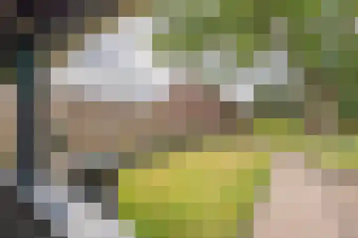 Kerkstraat 6 Gasselte thumbnail 25