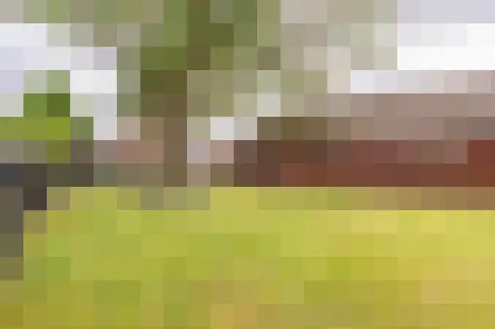 Kerkstraat 6 Gasselte thumbnail 26