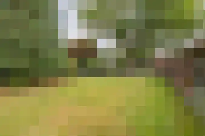 Kerkstraat 6 Gasselte thumbnail 4