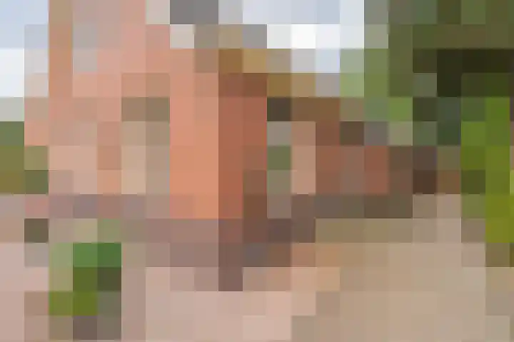 Kerkstraat 6 Gasselte thumbnail 5