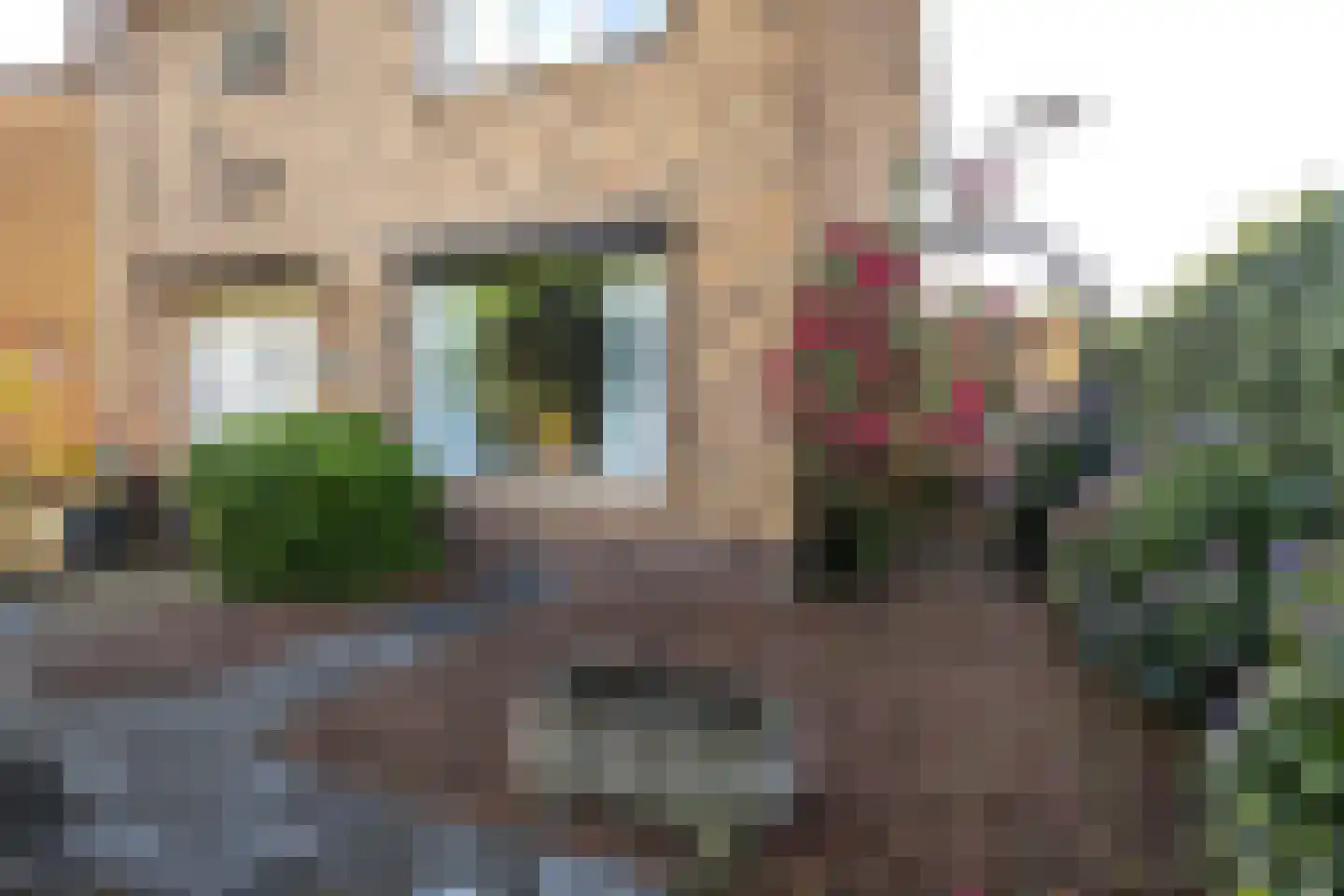 Kerkstraat 6 Guttecoven thumbnail 11