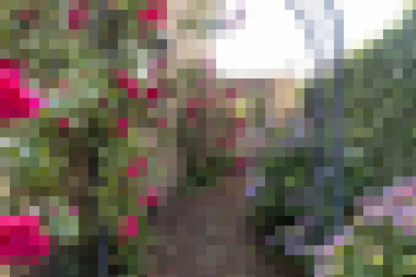 Kerkstraat 6 Guttecoven thumbnail 12