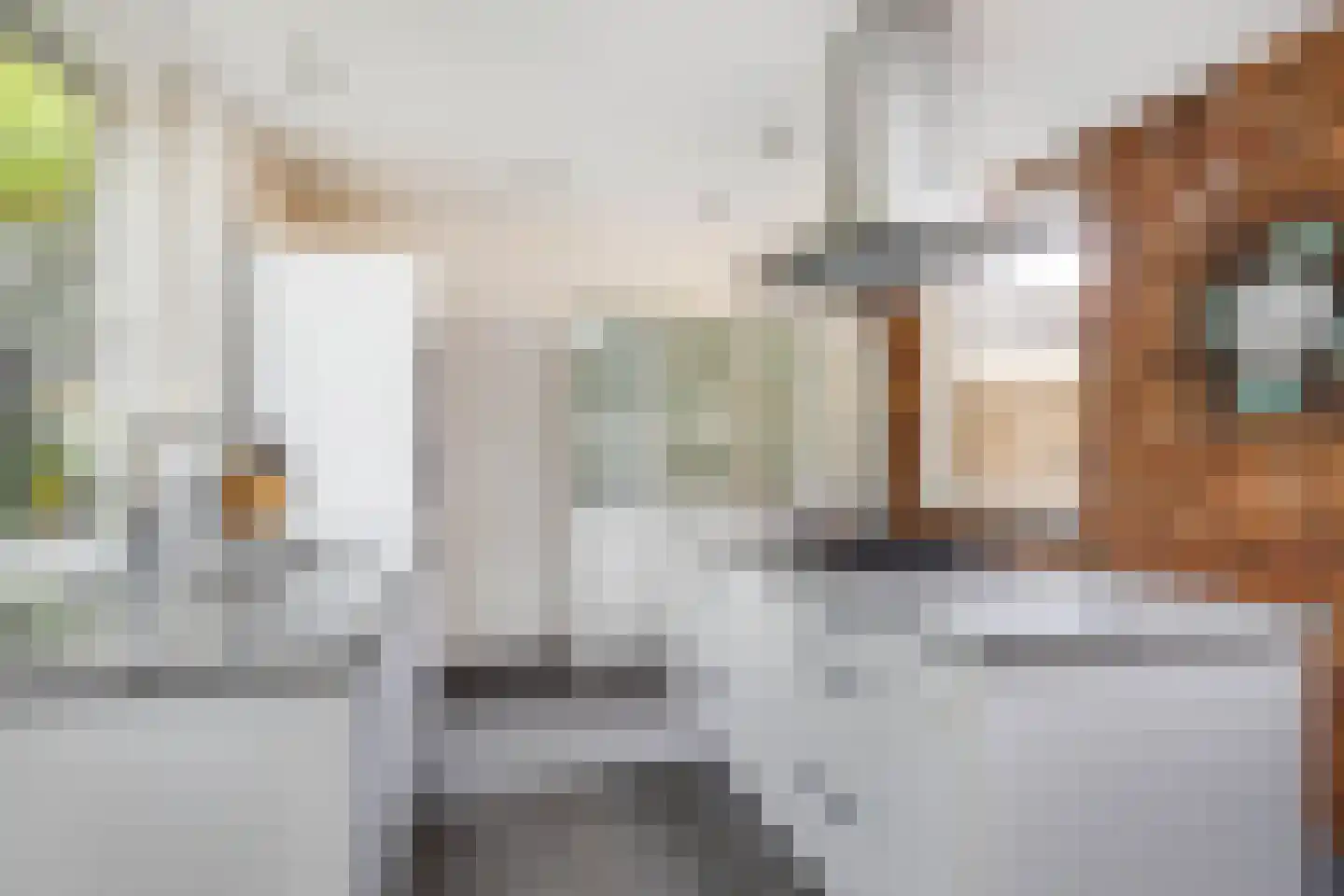 Kerkstraat 6 Guttecoven thumbnail 24