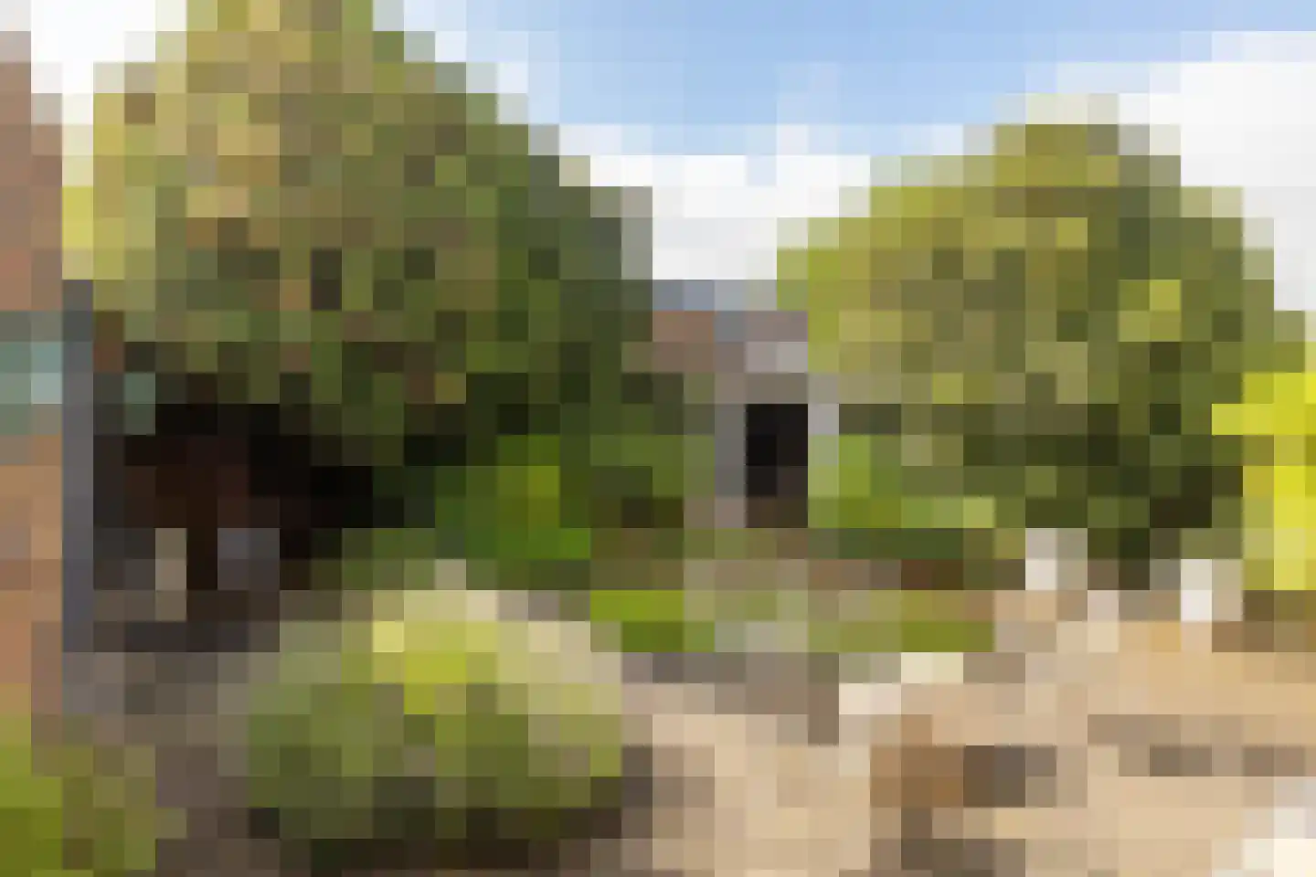 Kerkstraat 6 Guttecoven thumbnail 44