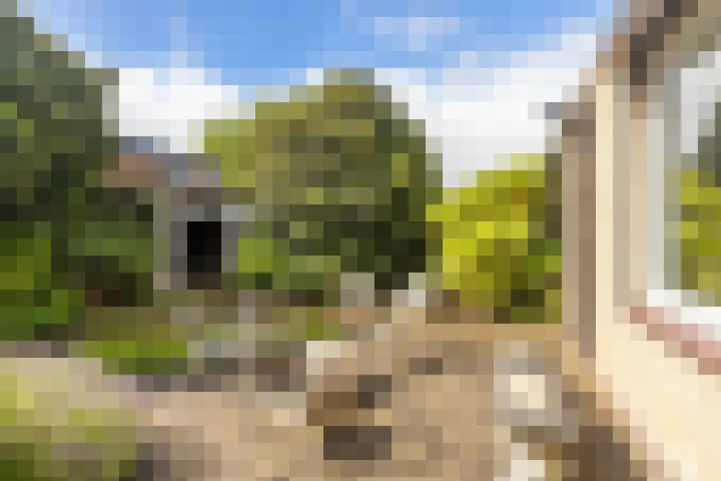 Kerkstraat 6 Guttecoven thumbnail 45