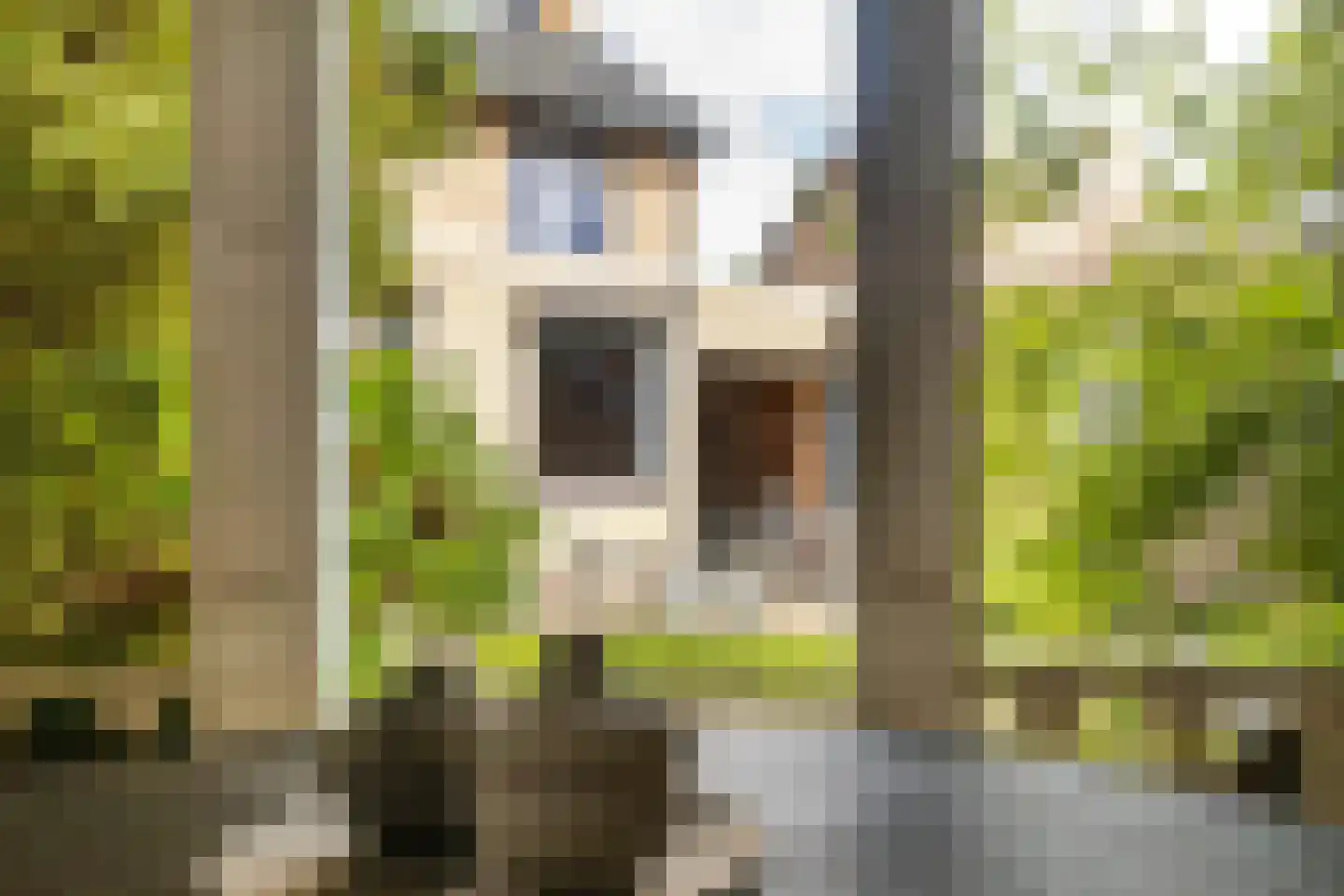 Kerkstraat 6 Guttecoven thumbnail 47
