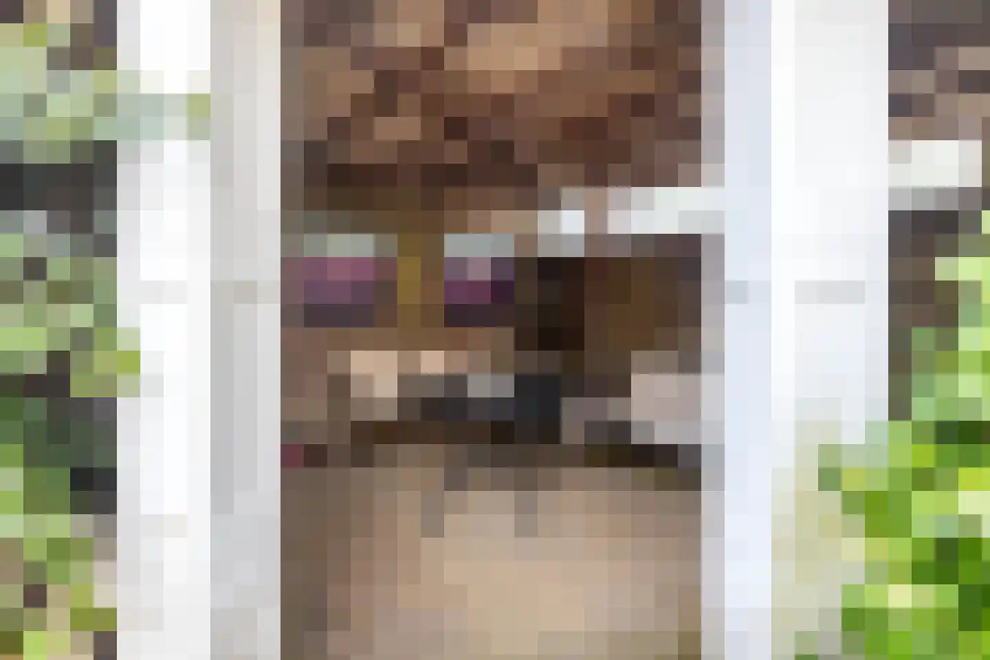 Kerkstraat 6 Guttecoven thumbnail 48