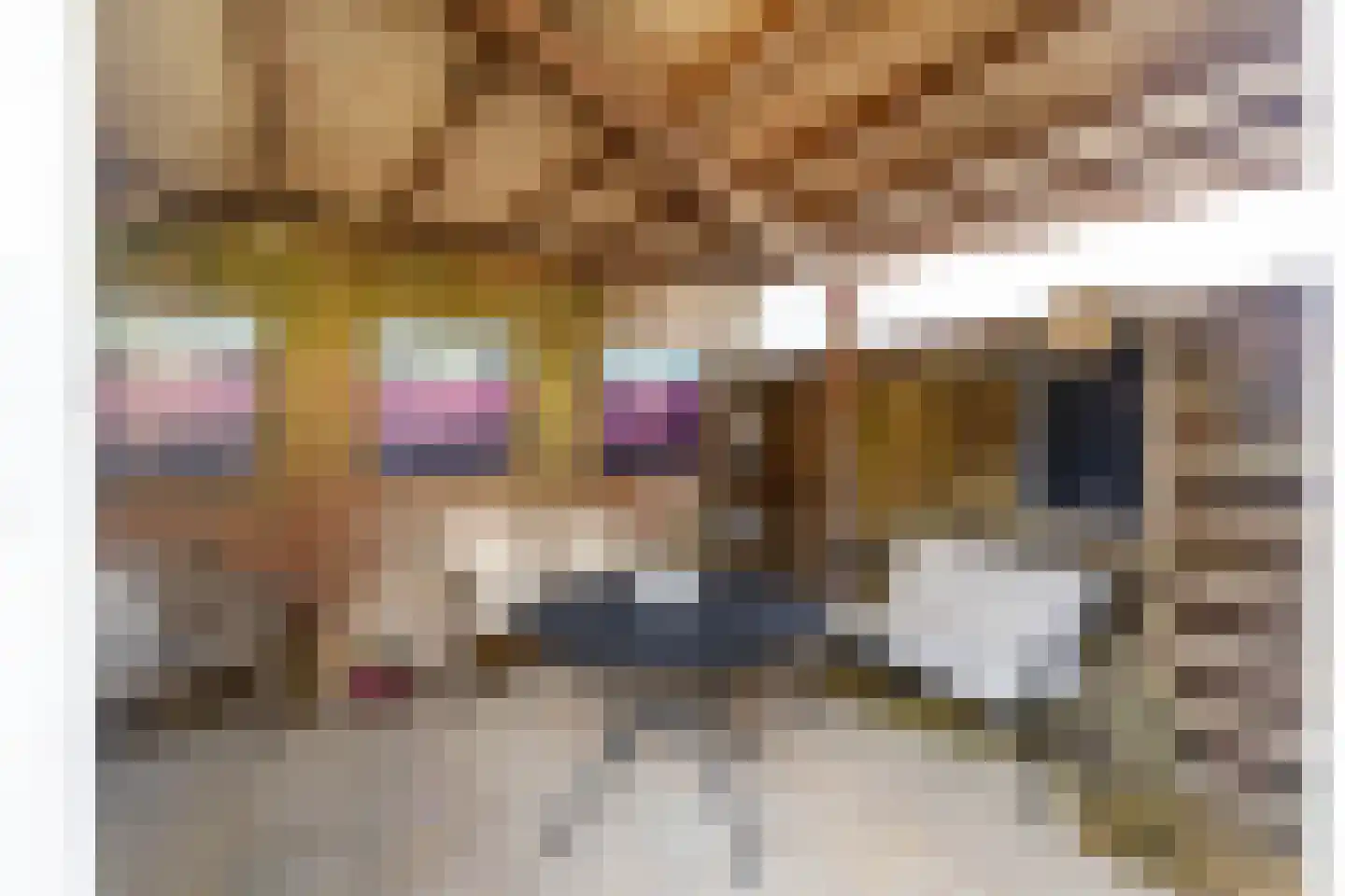 Kerkstraat 6 Guttecoven thumbnail 49