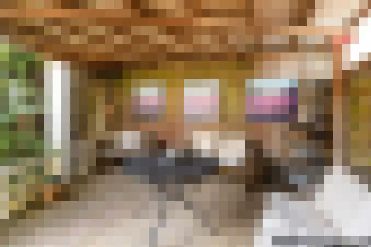 Kerkstraat 6 Guttecoven thumbnail 50