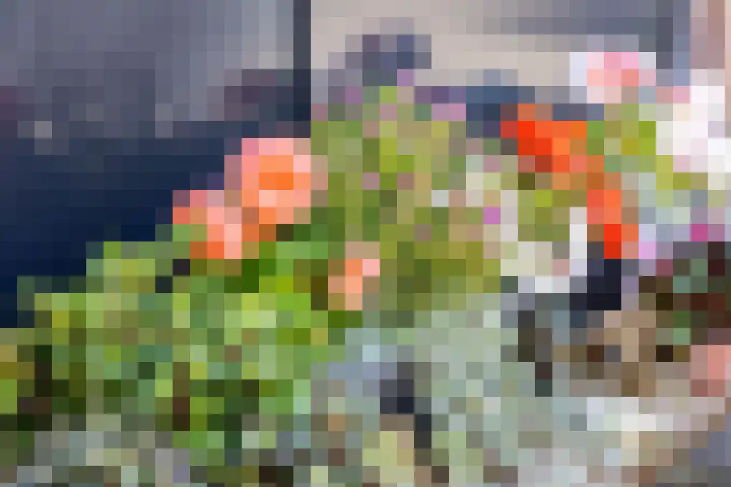 Kerkstraat 6 Hank thumbnail 23