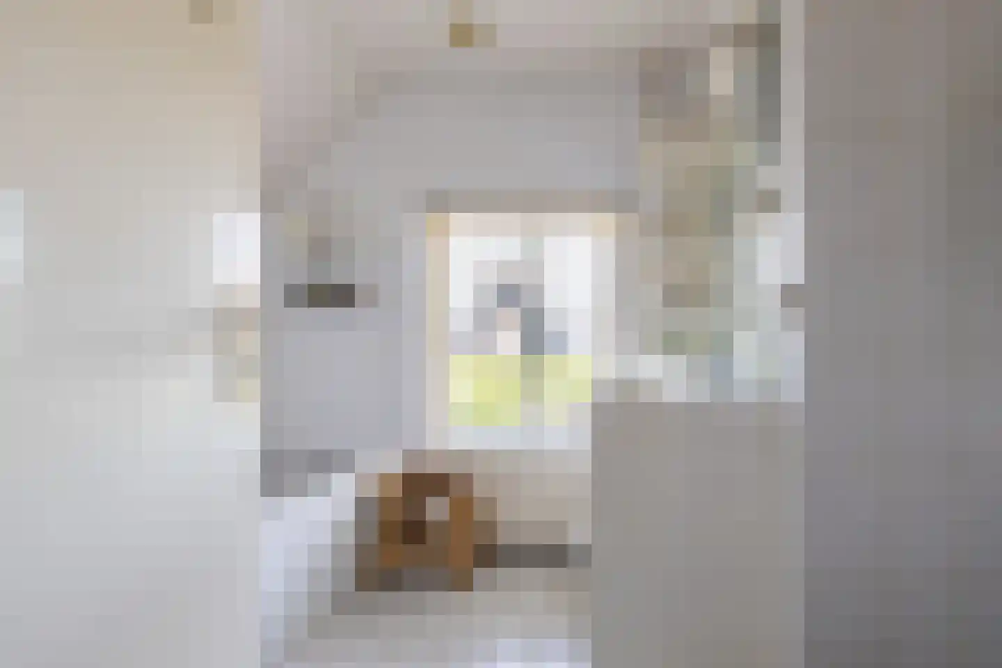 Kerkstraat 6 Hank thumbnail 30